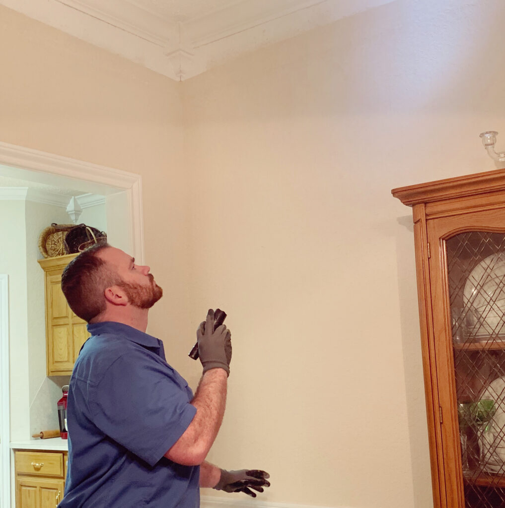 Pest Control in Bruceville Eddy TX