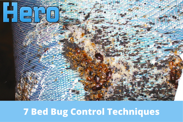 7 Bed Bug Control Techniques