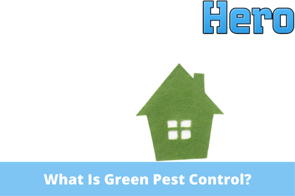 What Is Green Pest Control