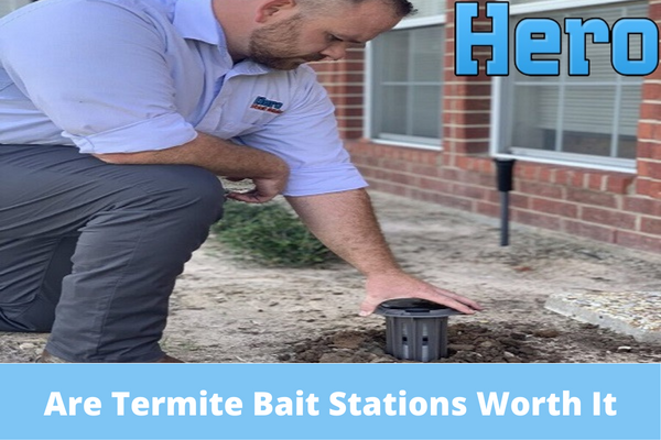 Are Termite Bait Stations Worth It