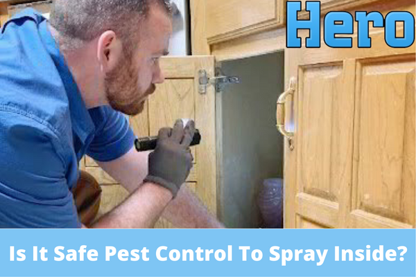Is It Safe For Pest Control To Spray Inside