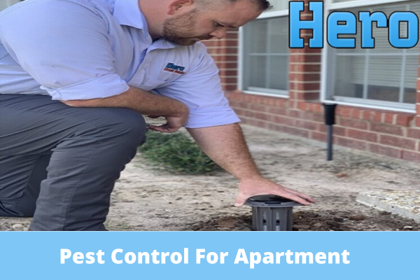 Prepare Your Apartment for Pest Control (1)