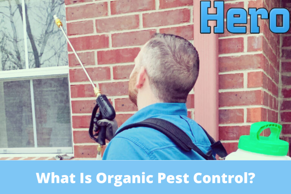 What Is Organic Pest Control