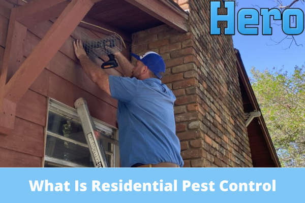 What Is Residential Pest Control