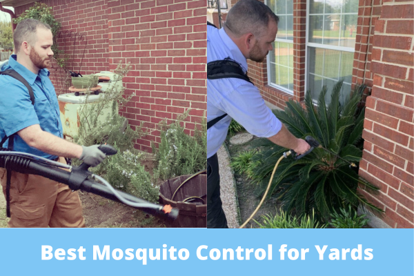 Best Mosquito Control for Yards
