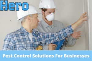 Customized Pest Control Solutions For Businesses
