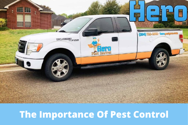 The Importance Of Pest Control