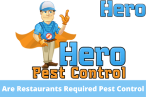 Are Restaurants Required To Have Pest Control