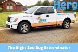 Choosing The Right Bed Bug Exterminator